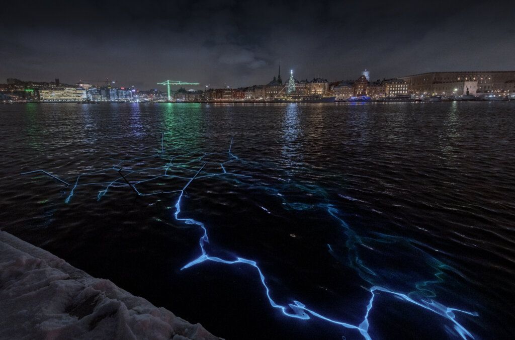 Cecilia Ömalm, B12. Nobel Week Lights 2021