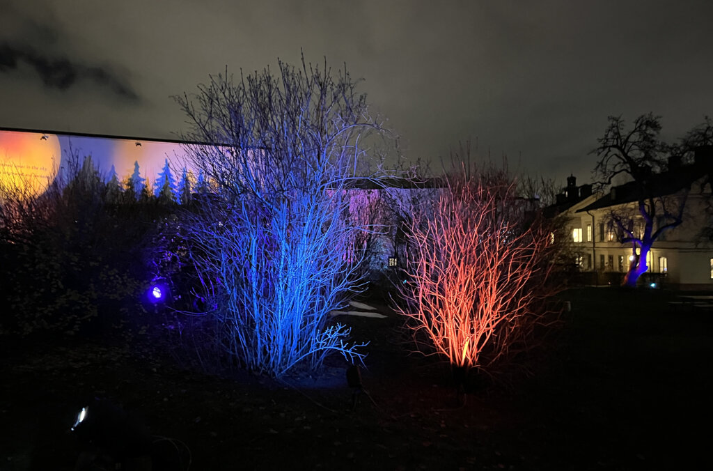 Jönköping School of Engineering and Royal College of Music, PERSPECTIVE. Nobel Week Lights 2022