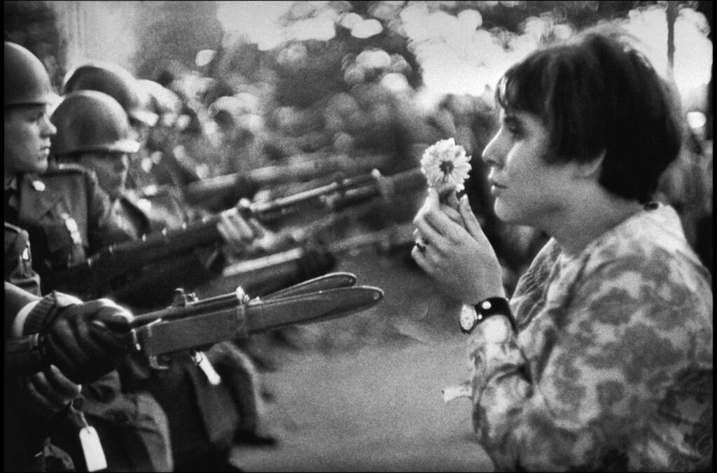 The Ultimate Confrontation: The Flower and the Bayonet