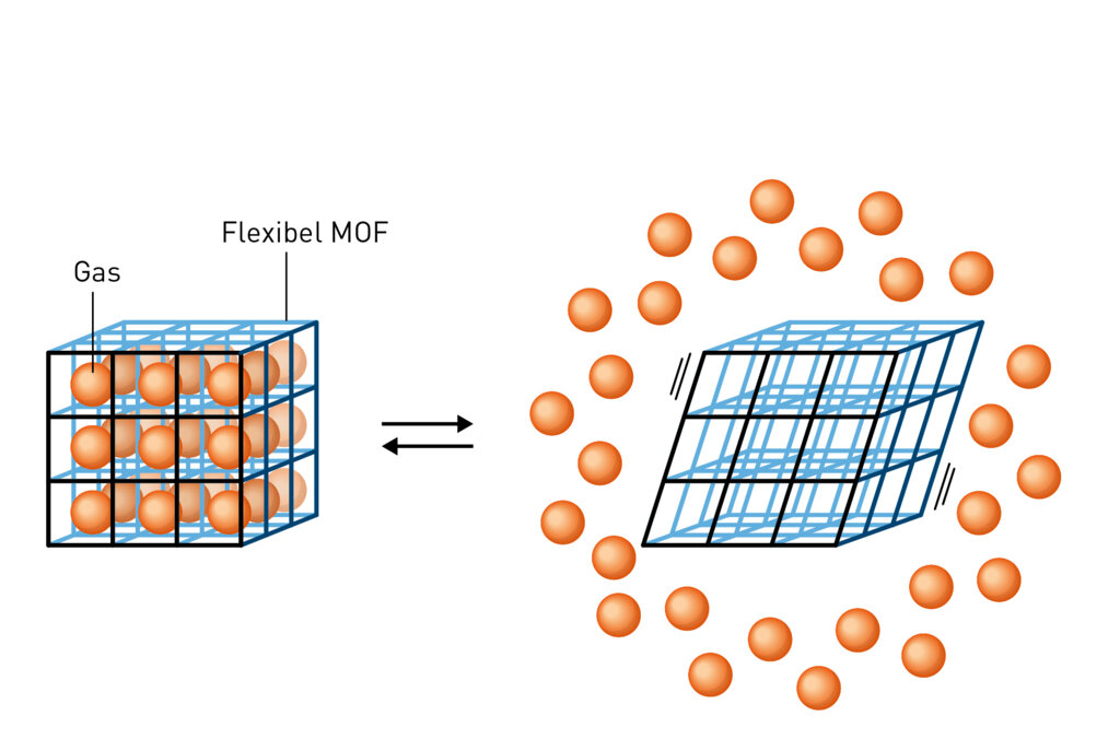 Lesson_che2025_fig4_ke_pop_sv_25 UTAN COPY.jpg