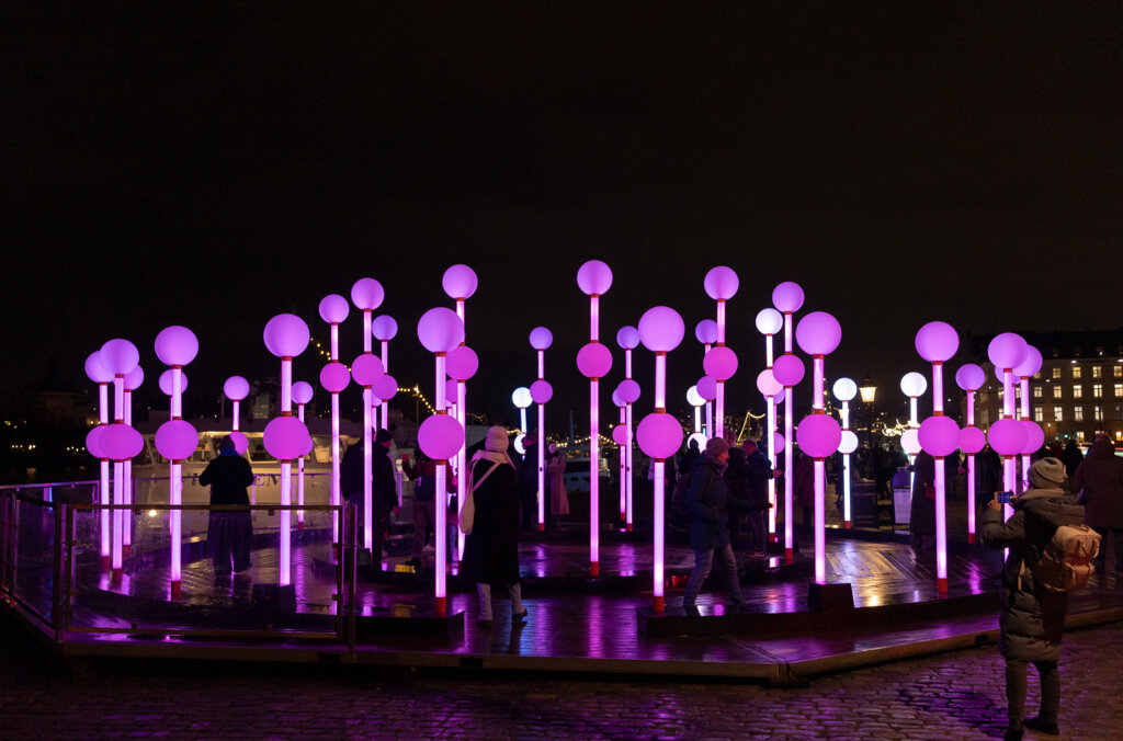 GLOW Amigo & Amigo (2)