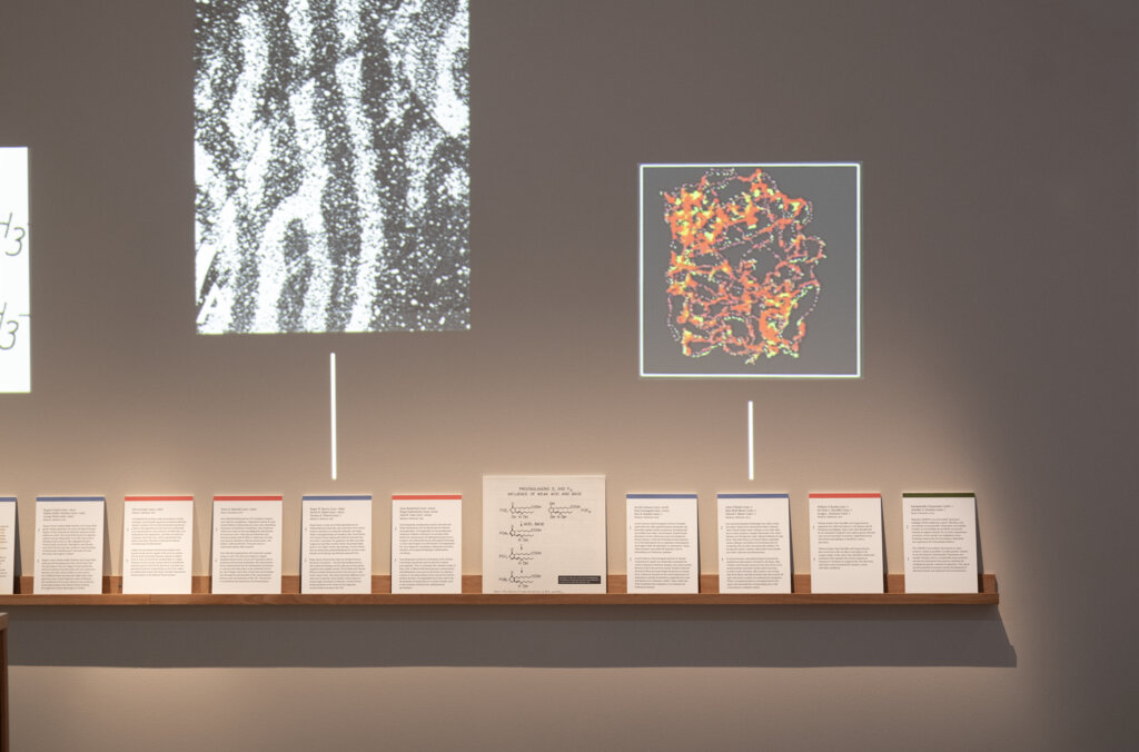 Exhibition view in Cells, nerves, genes.