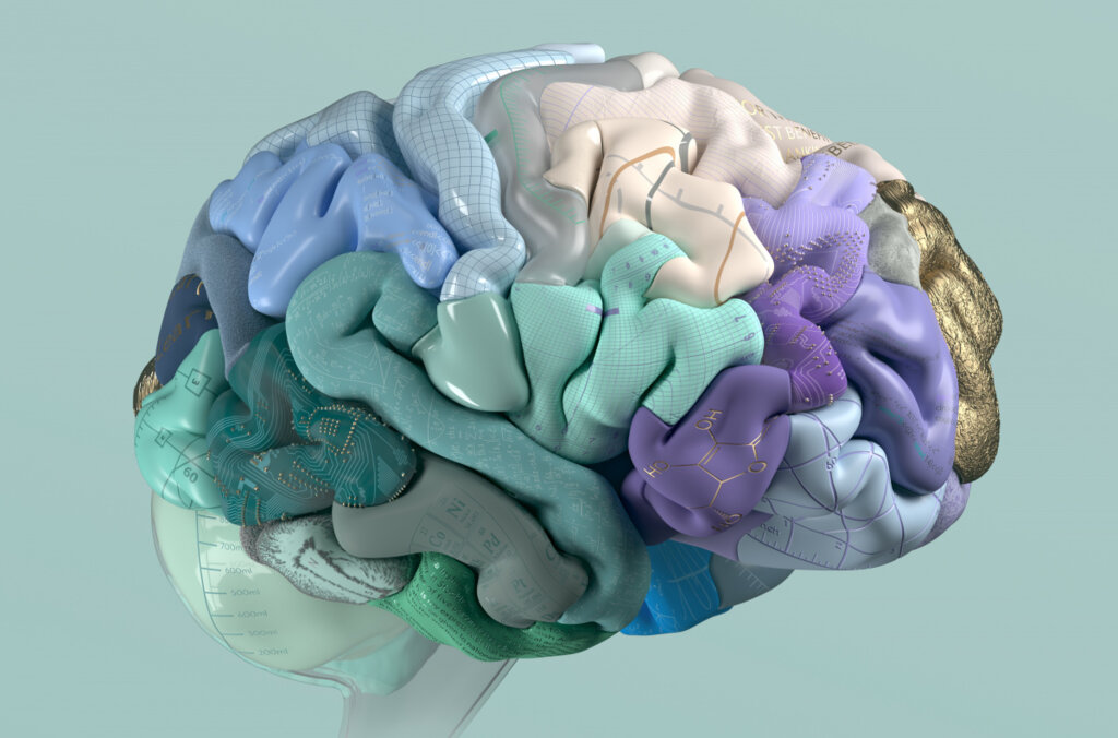 sdl-the-nobel-prize-brain-1200x983.jpg