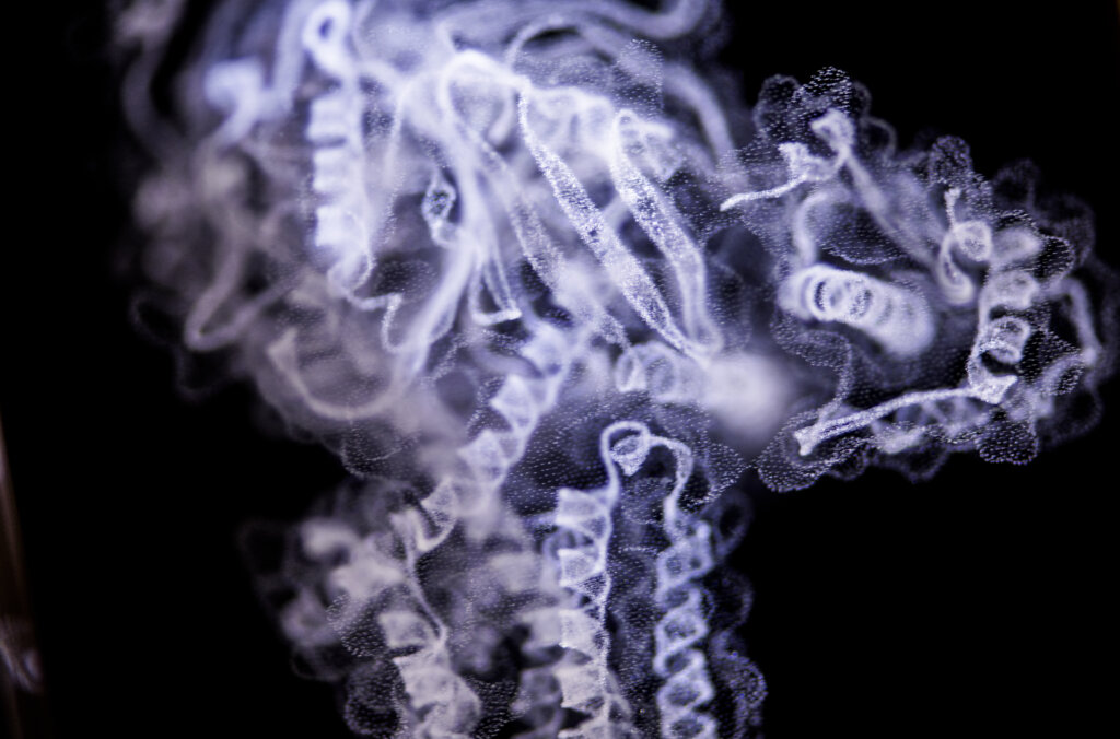 Brian K. Kobilka Glass decoration.