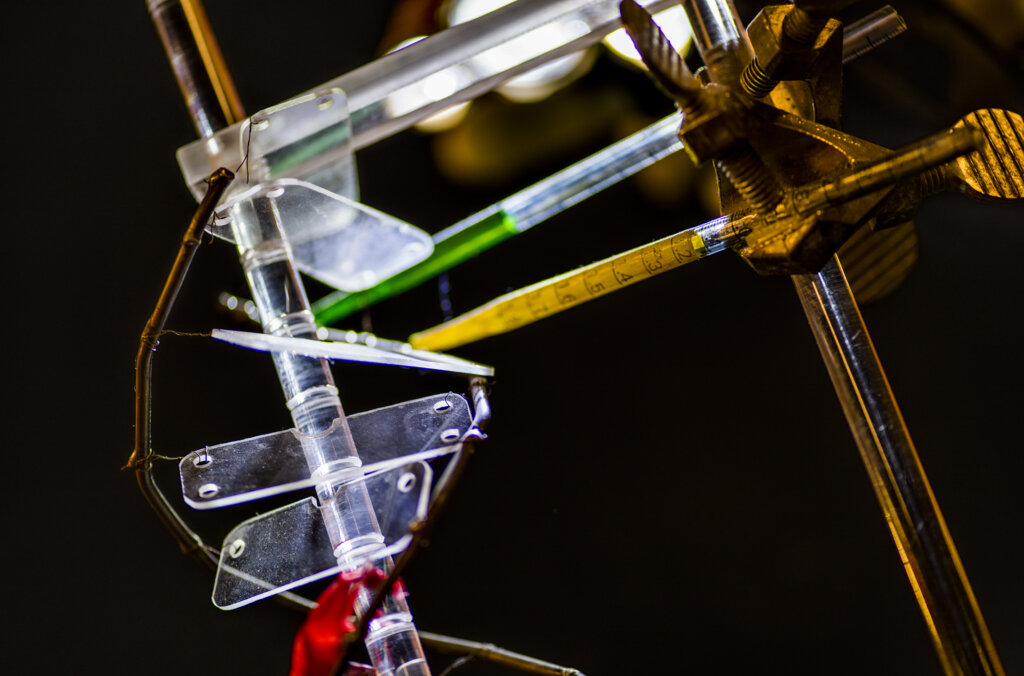 Aziz Sancar DNA Model