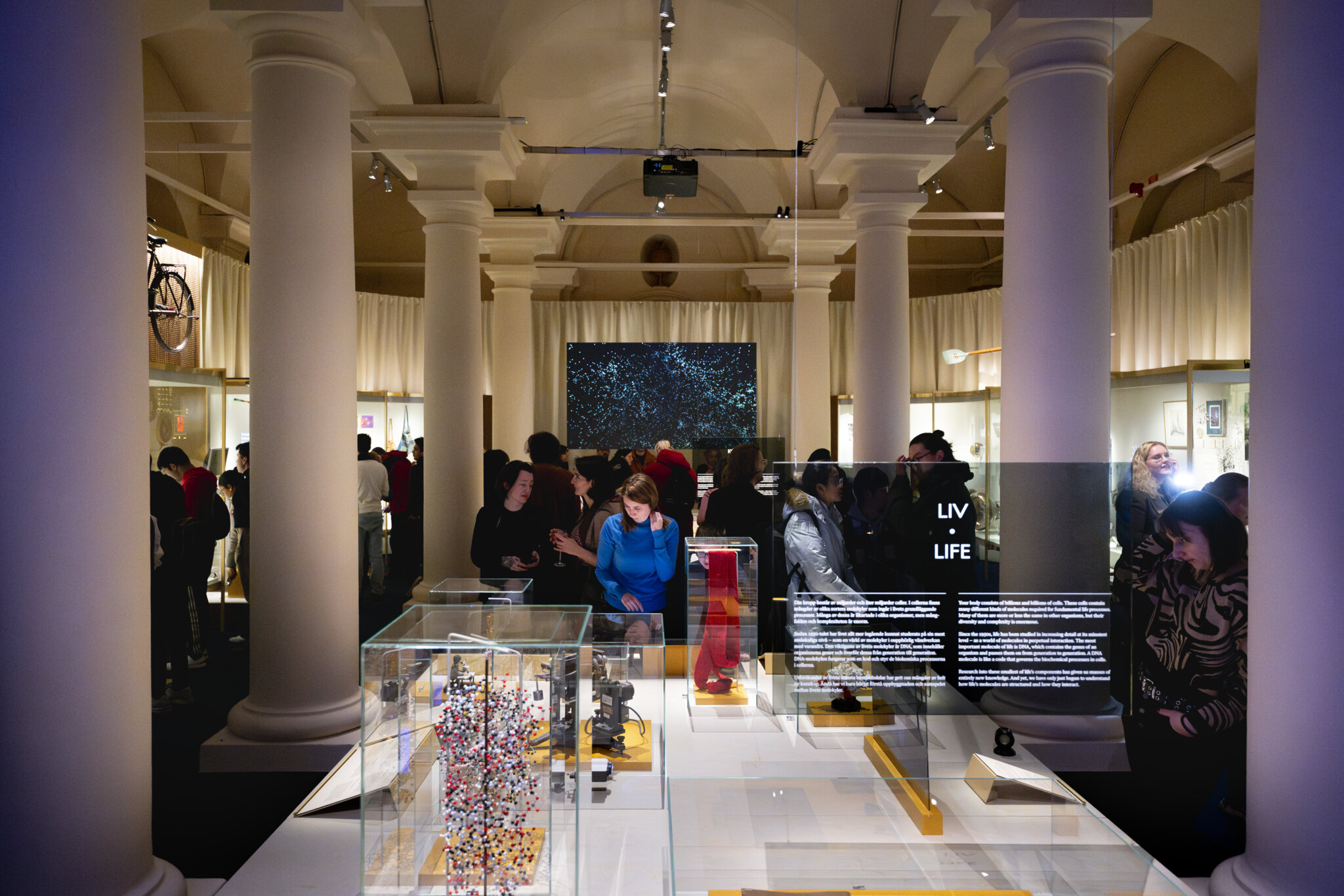 Människor i museet.