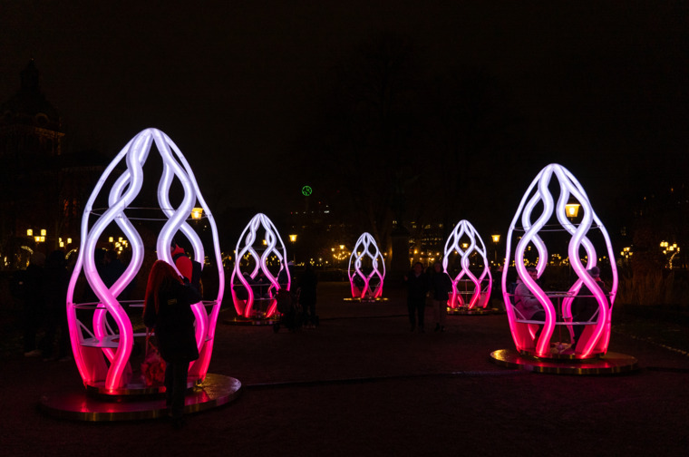 Lotus Pods