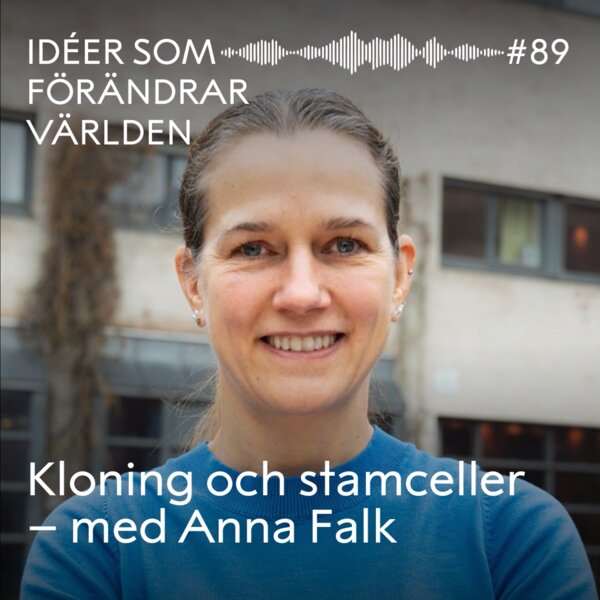 Podd #89