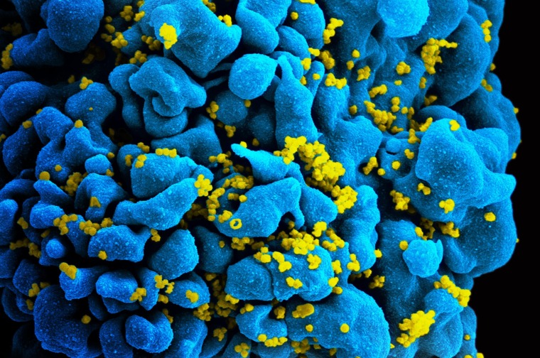 Virus