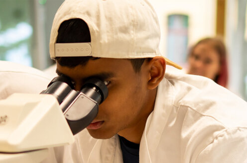 School visit in a lab