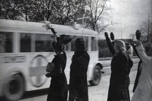 Vita bussarna_genomresa_foto Svenska Röda Korset.jpg.jpg