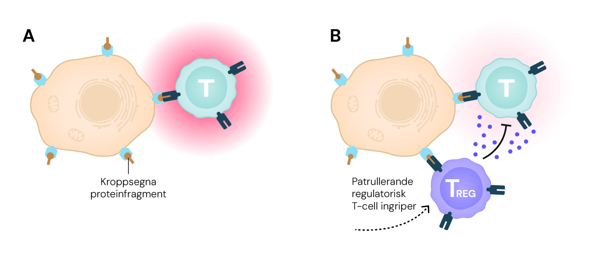 Fig_7.jpg