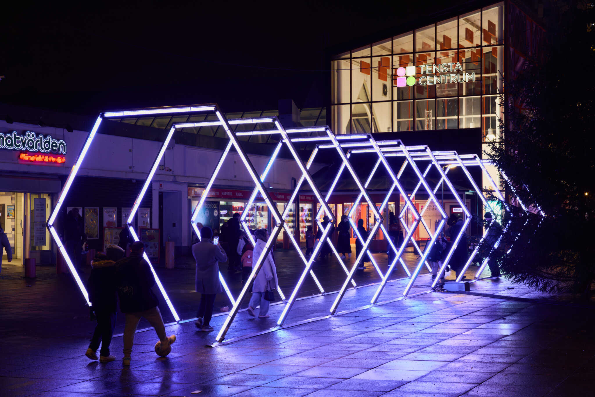 HEXX Calidos Nobel Week Lights 2025