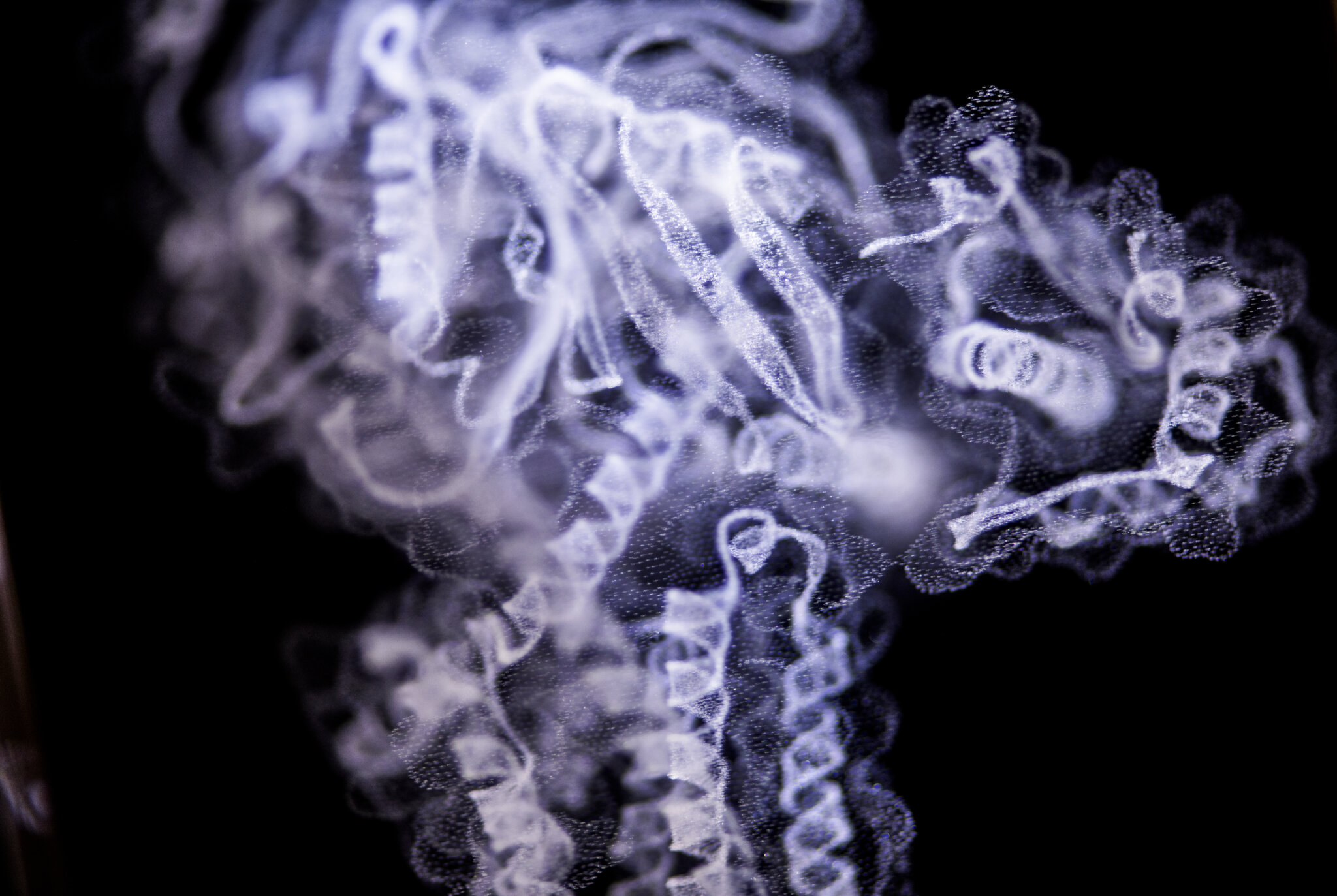 Brian K. Kobilka Glass decoration.