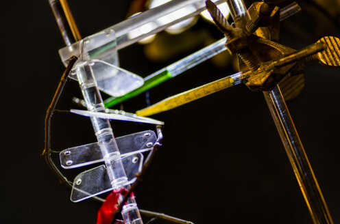 Aziz Sancar DNA Model