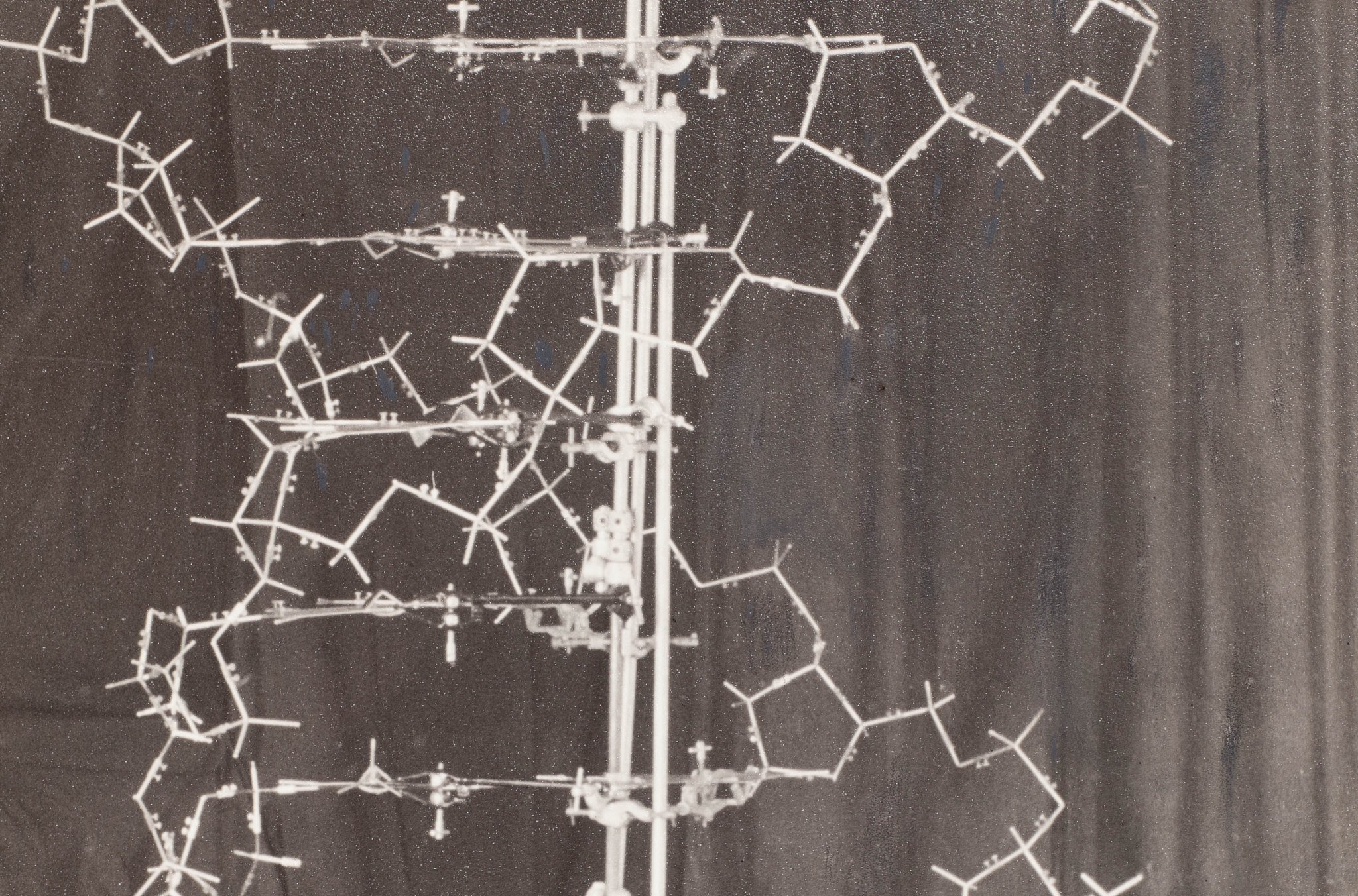 Originalmodell av DNA-strukturen, 1953.