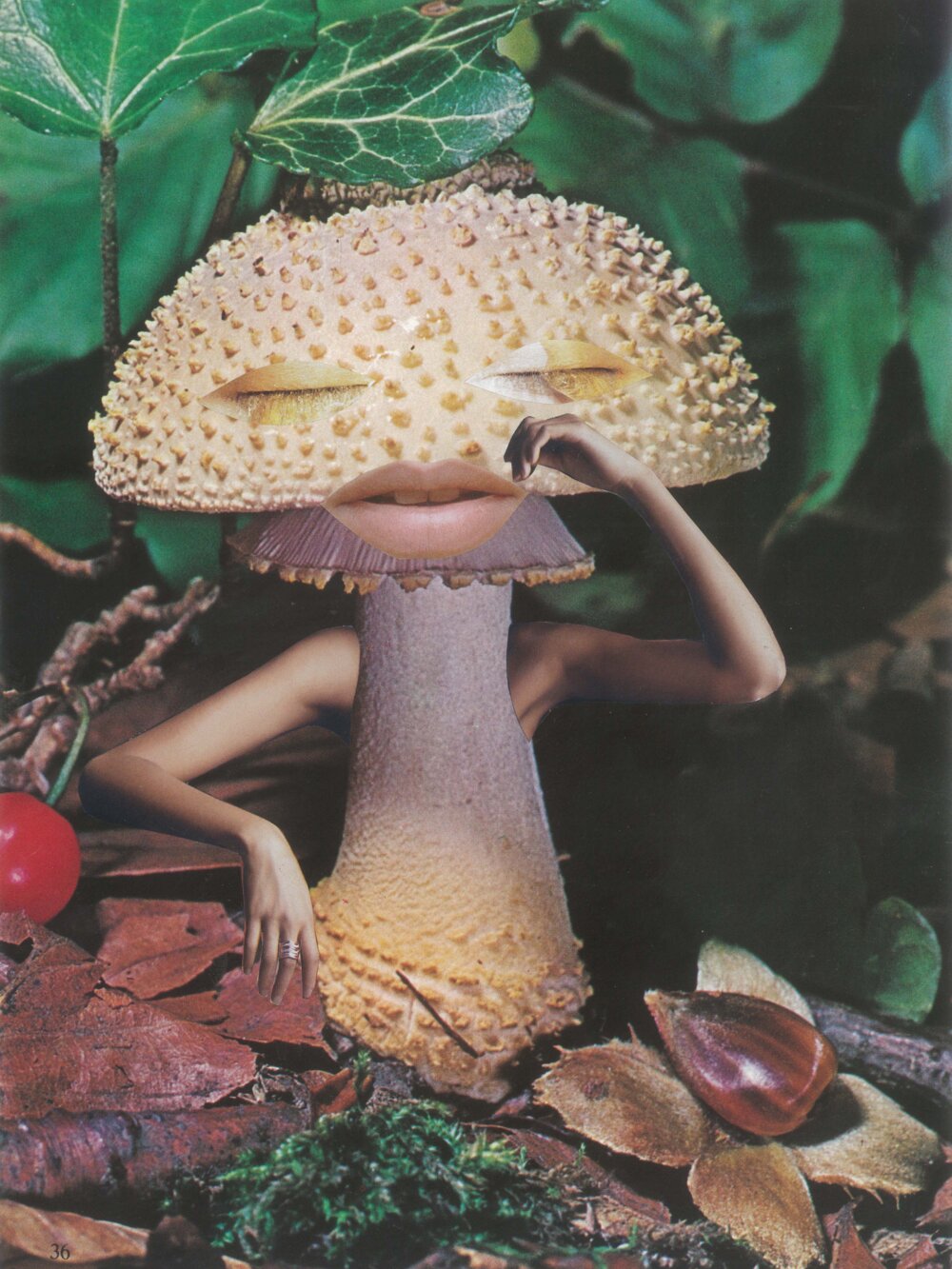 Mushroom